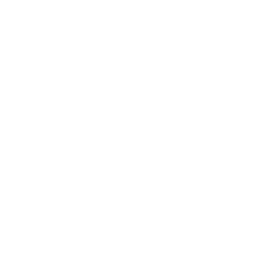 Ster Instytut